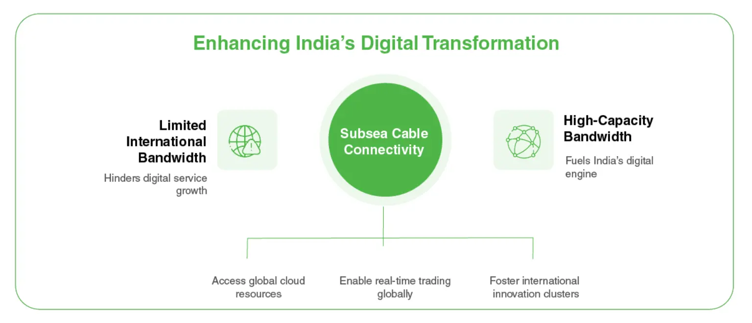 Subsea Cables Infographic